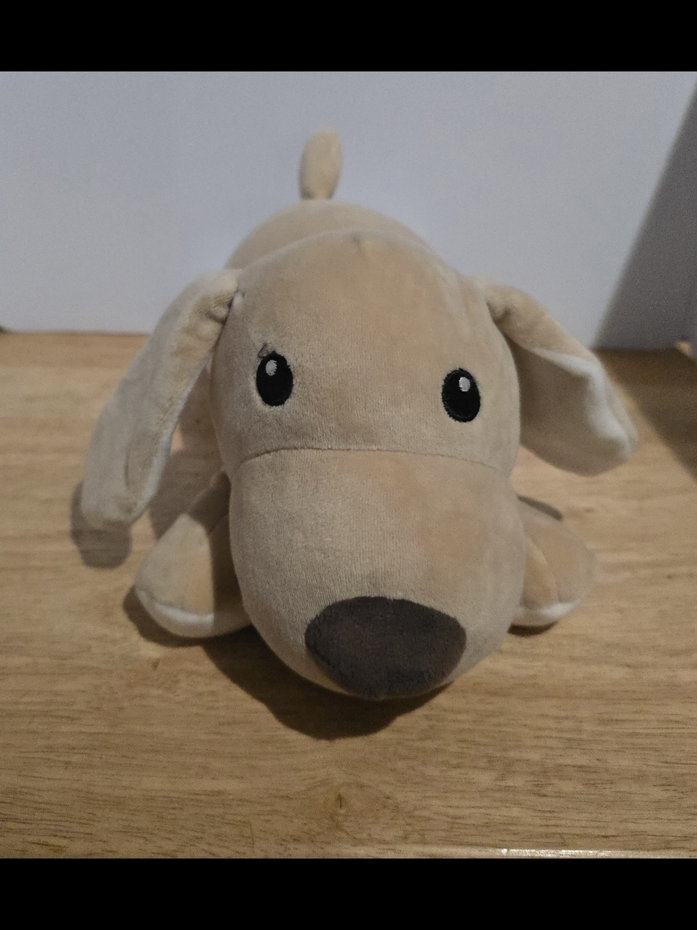 Miniso Plush Beige Puppy Stuffed Animal - Soft Cuddly Dog Toy